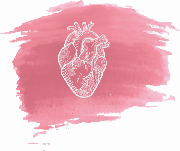heart-2