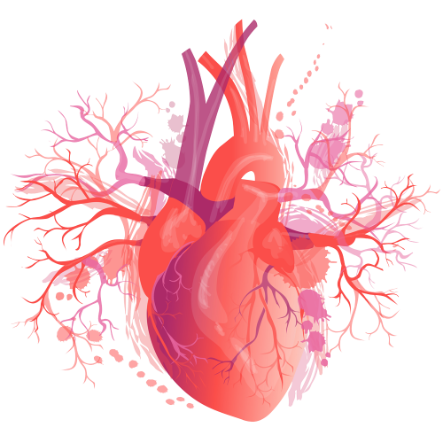 heart-3