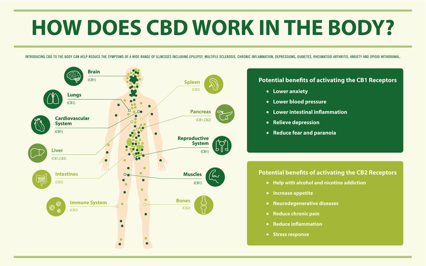 bienfaits cbd